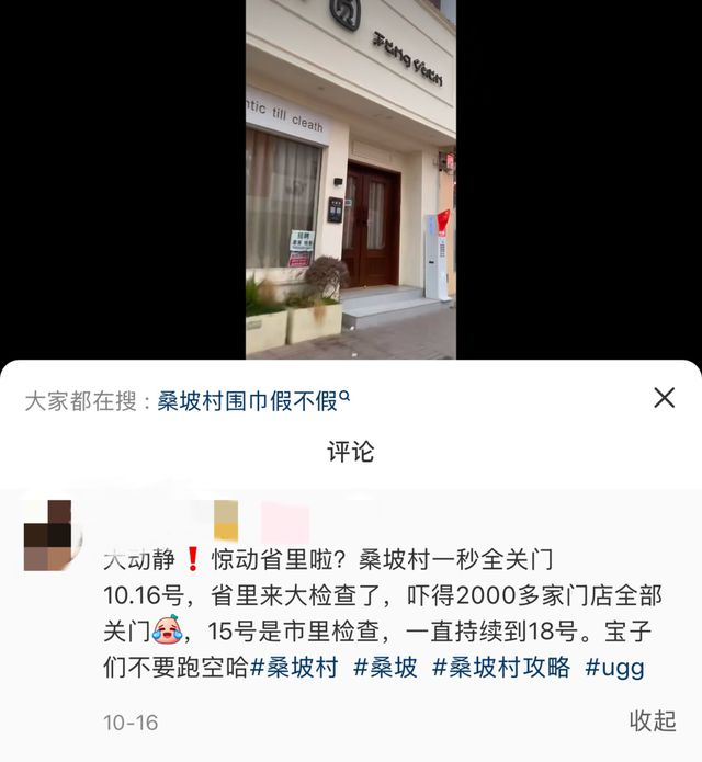 之若鹜的代购和满大街的“打假”标语｜封面头条新利体育最新版app河南桑坡村的AB面：趋(图4)