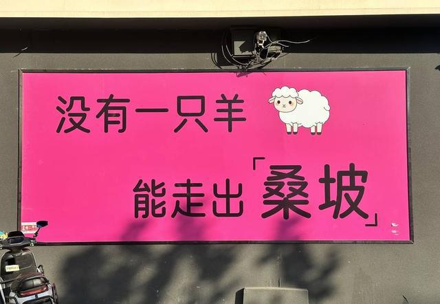 之若鹜的代购和满大街的“打假”标语｜封面头条新利体育最新版app河南桑坡村的AB面：趋(图1)